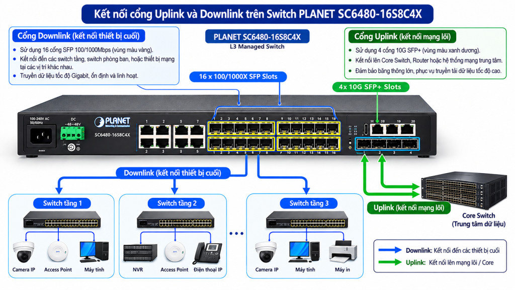Cổng đường lên Uplink và Cổng thông thường (Downlink) của Switch